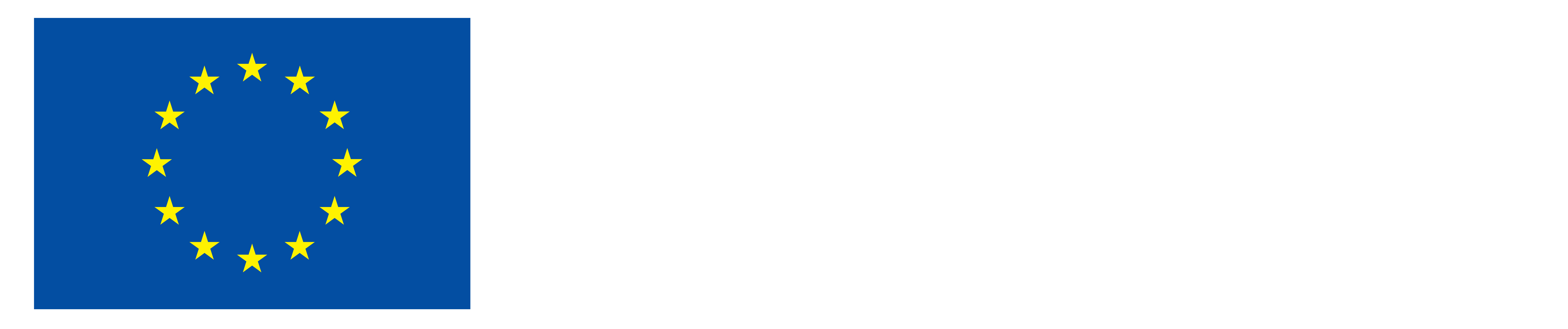 Finanțat de Uniunea Europeană